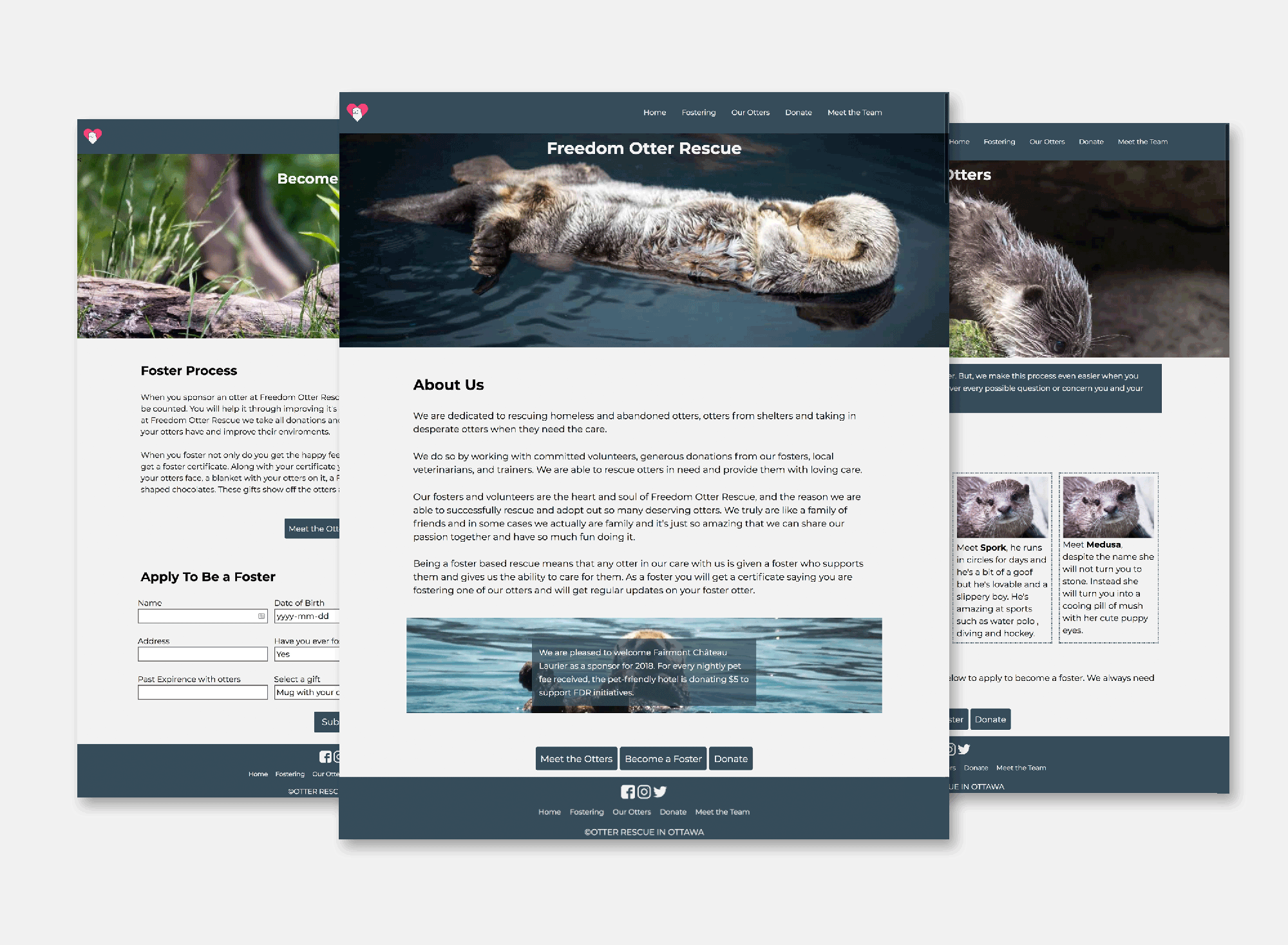 A display of the main 3 pages on the Freedom Otter Rescue site